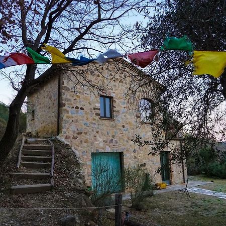 Pensjonat La Casina Di Giannetto Seggiano Zewnętrze zdjęcie